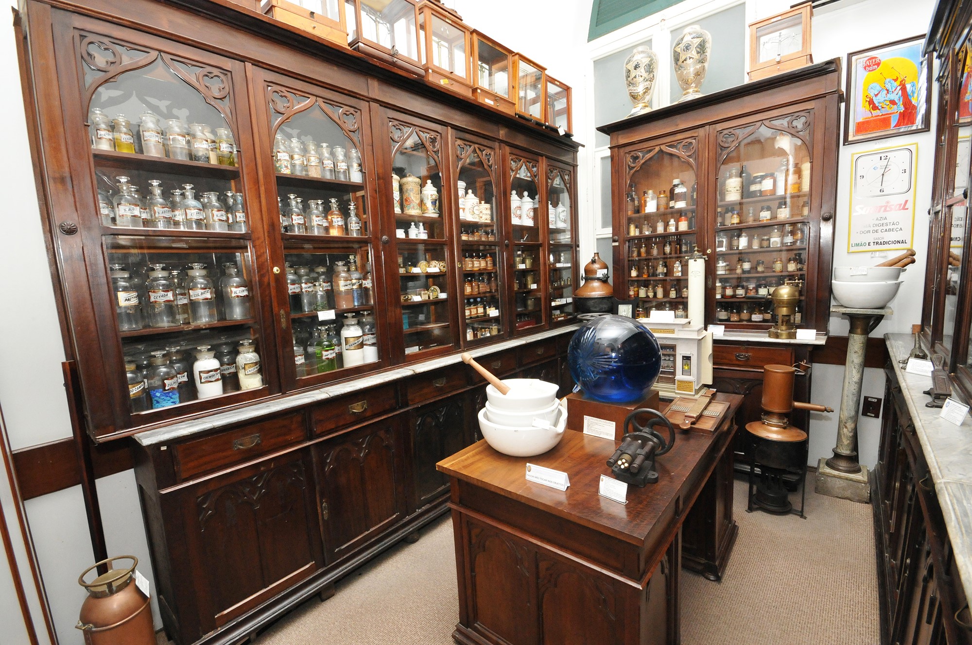 “Museu Sustentável” promove cultura, mobilidade e inclusão pela Semana do Meio Ambiente